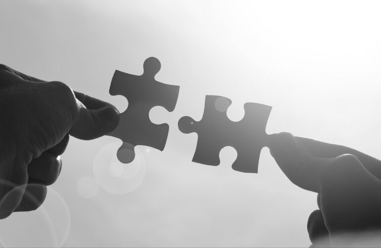 DHN&Co putting the puzzle pieces together to support business performance
